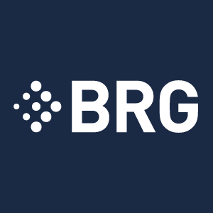 Berkeley Research Group