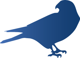 Tiercel Security Solutions