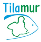 Tilamur