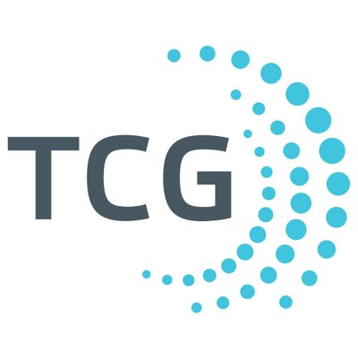 Tis Consulting