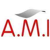 A.m.i