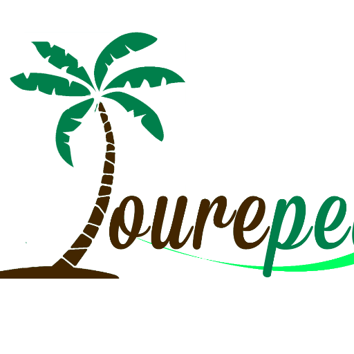 Tourepedia