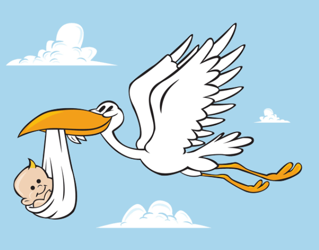 Trackstork.com