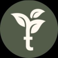 Transveda
