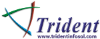 Trident Infosol