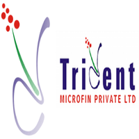 Trident Microfin