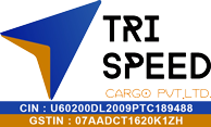 Tri Speed