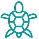 Taxturtle