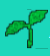 Twig
