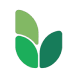 Uma Global Foods
