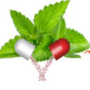 Vanshita Lifecare