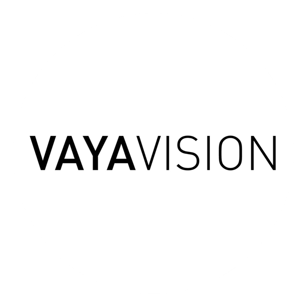Vayavision