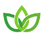 Vedicfy