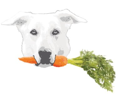 Vegdog