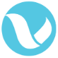 Veloces Consulting Services