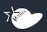 Venustech