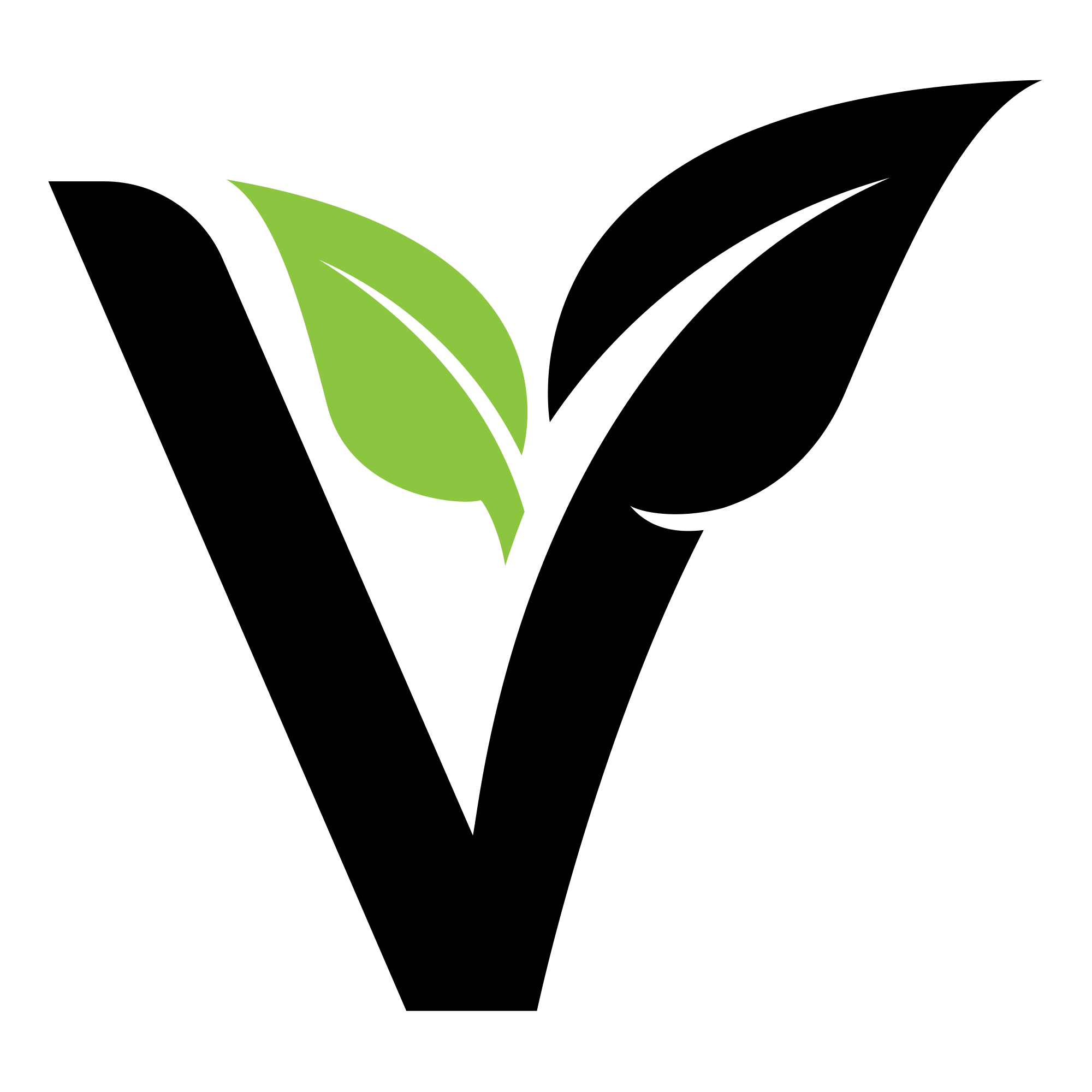 Vevus Enterprises