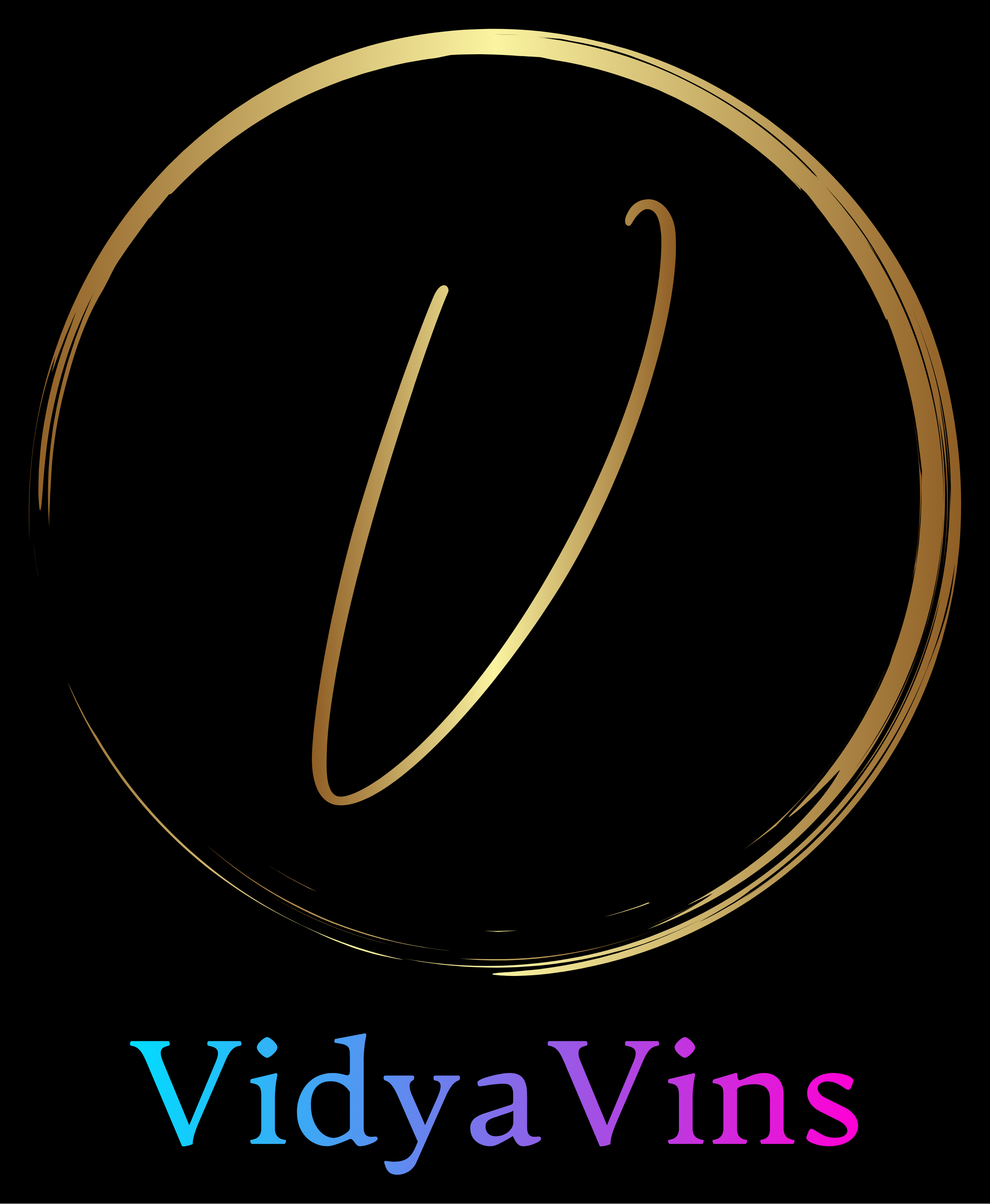 Vidya Vins