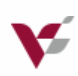 Vience