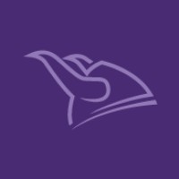 Viking Partners