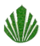 Vishal Essential Oils & Chemicals