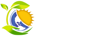 Water Foods