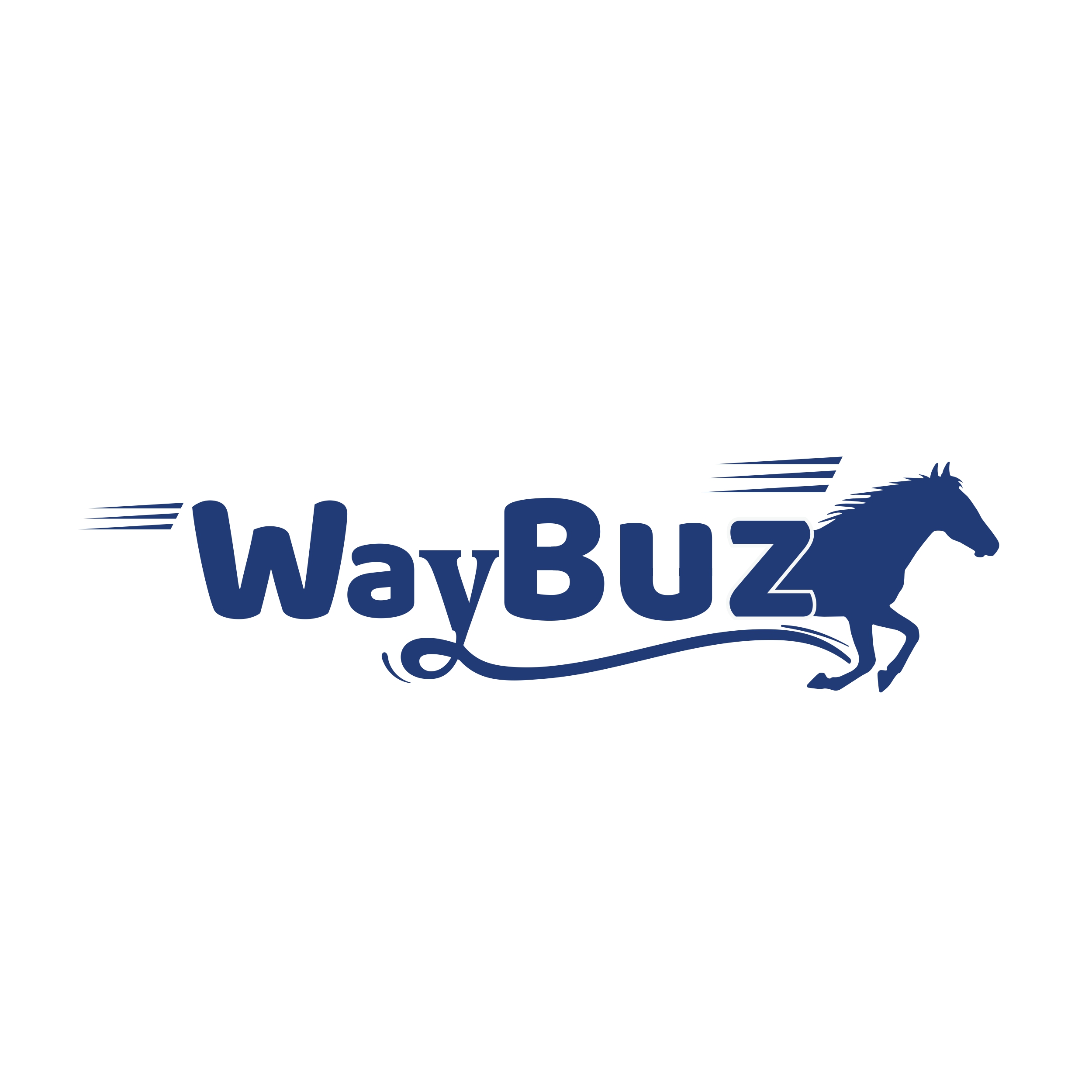Waybuz