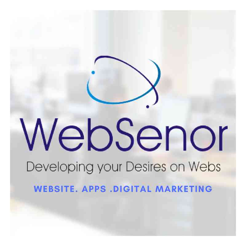 Websenor Infotech