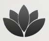 White Lotus