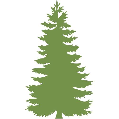 White Pine Investment Management