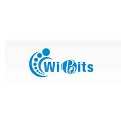 Wibits Web Solutions