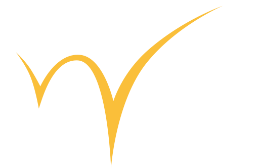 Wildspark