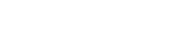 Witness