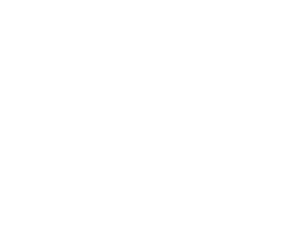Wiss, Janney, Elstner Associates, Inc.