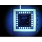 Motion Engine
