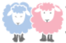 Wool Warehouse