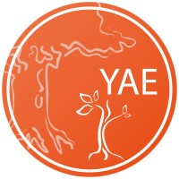 Young Academy Of Europe