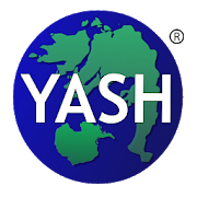 Yash Global Electronics Security Solution