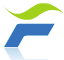 Young Fast Optoelectronics
