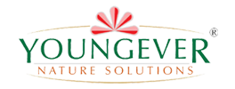 Youngever