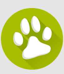 Yummypets