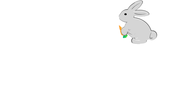 Zoobop