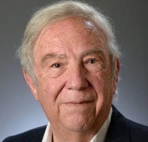 Yoram Palti