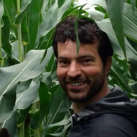 Gabriel Torres
